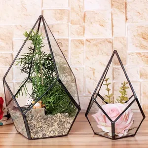 Luxurious Design Custom Modern Geometric Flower Terrarium Black Coloured Terrarium Glass Container Set Of 2 Pc For Home Decorate