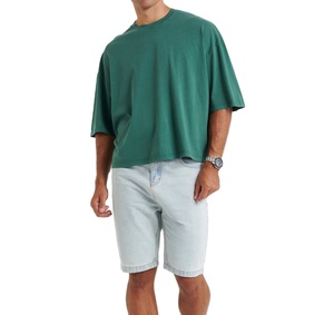 Vente en gros de T-shirts décontractés pour hommes 100% coton de haute qualité, coupe ample, épaules tombantes, écologiques, avec logo personnalisé, grandes tailles, en promotion - Product Image 1