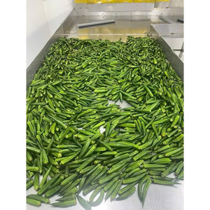 Chips de Okra Saludables y Crujientes, Bajos en Grasa, Fritos al Vacío, Sin Gluten, Snacks de Okra Crujientes, Ricos en Fibra - Product Image 3