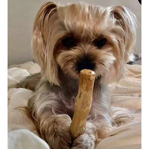 Mordedor para Perros de Madera de Café Natural – Mordedor Dental Ecológico con Empaque Personalizado - Product Image 1