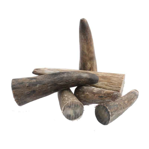 Corne de buffle et pointe de corne de buffle de qualité supérieure, personnalisées, en gros, à vendre à prix compétitif - Product Image 2