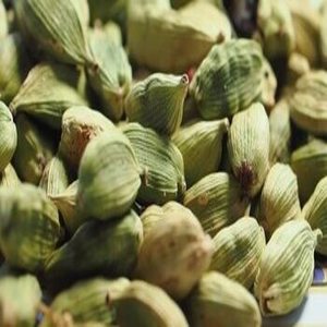 Cardamomo Verde de Gujarat, India, Premium, en Cápsulas Enteras, Nueva Cosecha, Fresco, Aroma Intenso, Especia de Alta Calidad, 1 kg, Importadores Globales - Product Image 4