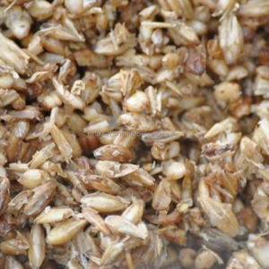 Grano Seco de Cerveza – Fuente Rentable de Proteína, Fibra y Energía para Alimentación Animal - Product Image 5