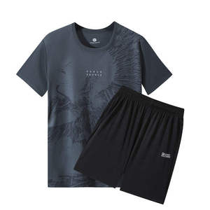 Ensemble de sport pour homme, coupe-vent, uni, à séchage rapide, t-shirt imprimé à manches courtes, vêtements de sport pour la course à pied, le basketball, le badminton - Product Image 4