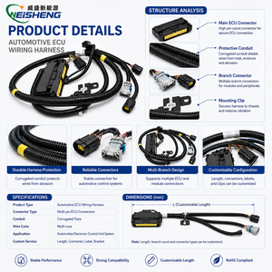 Klantspecifieke bedradingssysteem voor commerciële voertuigen, ECU-sensor, relais, kabelassemblage, OEM - Product Image 3
