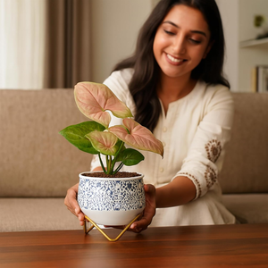 Maceta Metálica Mini Caramel, Florero de Diseño Único, Contenedor Decorativo para Plantas de Interior, para Suculentas y Plantas Verdes Pequeñas - Product Image 3