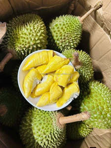 Durian Congelado IQF de Vietnam de Alta Calidad, Suministro a Granel para Exportación Premium con Conservación de Agua y Envasado al Vacío - Product Image 4