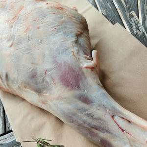 Carne de Cordero Halal de Alta Calidad para Exportación, Pierna de Cordero Congelada con Hueso, Empacada para Venta al Por Mayor - Product Image 3