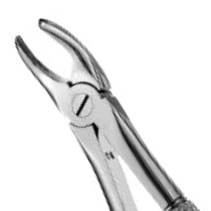 Pinzas de Extracción Dentales Quirúrgicas para Molares Superiores Dentados de 17 Pulgadas, Instrumento de Cirugía Oral de Acero Inoxidable - Product Image 3