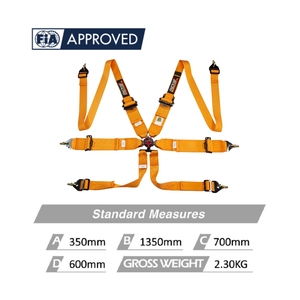Arnés de Seguridad Profesional para Carreras FIA, Cinturón de 6 Puntos con Cierre de Aluminio para Auto de Carreras, OEM, ODM, Logotipo y Color Personalizados - Product Image 2