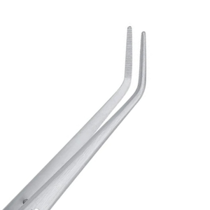 Pince de pansement dentaire manuelle en acier inoxydable pour usage universitaire, instrument chirurgical à poignée ergonomique pour cliniques dentaires et orthodontie - Product Image 5