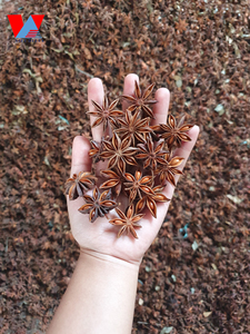 Proveedor de grandes cantidades de anís estrellado seco natural al 100% de Vietnam, que cumple con la norma ISO HACCP para exportación global/Lima - Product Image 6