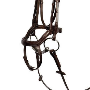 บังเหียนม้าหนังสวีเดนคุณภาพพรีเมียม Kostolany แบบสายเดี่ยว ปรับได้ พร้อมสายรัดจมูกแบบ Crank และสายคาดหน้าผากแบบมีแผ่นรอง สำหรับฝึกซ้อมและการแสดง - Product Image 5