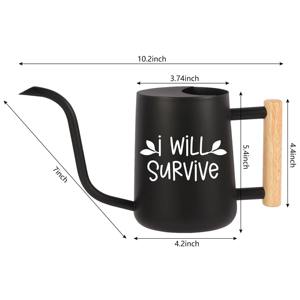 Arrosoir en métal avec manche en bois noir, idéal pour les plantes d'intérieur, de balcon et de jardin extérieur, outil d'arrosage de jardin en provenance d'Inde - Product Image 5