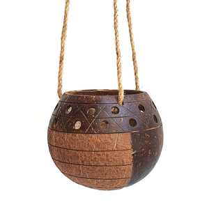 Muestra Gratis y Precio Económico, Maceta Natural de Cáscara de Coco de Vietnam/Maceta de Cáscara de Coco para Jardín de Flores, Bonsái - Product Image 3