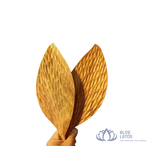 BLUE LOTUS FARM Blocs à découper pliables en bois - Design écologique et léger, formes carrées, épaisseur 2,0 cm, Ho Chi Minh City - Product Image 1