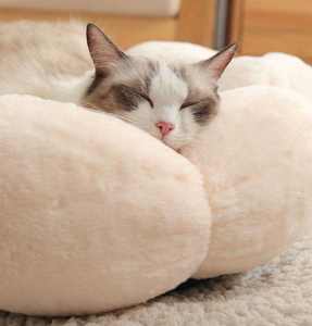 Hua Cheng Nid pour chat moderne et durable, tissage en fil de coton pur, matelas pour animaux de compagnie, chats, chiens, toutes saisons, lavage mécanique, carton - Product Image 5