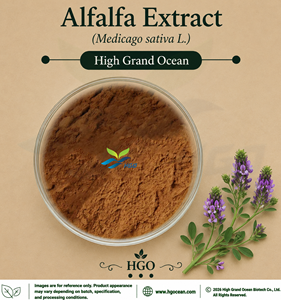 โรงงาน HGO จำหน่ายสารสกัดอัลฟัลฟ่า (Medicago sativa L.) (เกรดอาหาร) (อัตราส่วนสารสกัด) 4:1 5:1 10:1 20:1 100:1 200:1 โดยตรง - Product Image 1