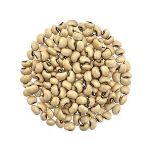 Guisantes negros saludables y orgánicos de alta calidad disponibles para pedidos al por mayor y en grandes cantidades - Product Image 4