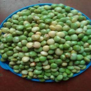 Petits pois verts indiens pelés et conservés au vinaigre, qualité supérieure, saveur salée pure à 100 %, durée de conservation de 24 mois, pour marchés mondiaux, pratique - Product Image 6