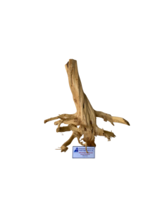 Décoration d'aquarium en bois flotté naturel de différentes tailles, forme irrégulière, écologique, ornement pour aquarium, produit du Vietnam - Product Image 3