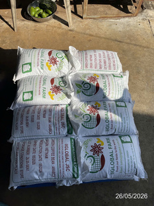 Premium Unroasted Robusta <b>Beans</b> Natural Raw Bulk <b>Coffee</b> For Roasting And Extracts Vietnam green <b>coffee</b> <b>bean</b> - Raw <b>coffee</b> <b>bean</b> - Product Image 5