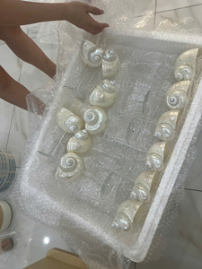 Handmade Seashell Wine <b>Glass</b> <b>Goblet</b> Luxury Polished Martini Cup Cocktail <b>Glass</b> for Bar, Anniversary, Wedding Present, Restaurant - Product Image 5