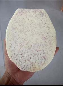 Taro Congelado IQF de Vietnam, Pelado y en Trozos Premium, al por Mayor para Té de Burbujas, Postres y Procesamiento de Alimentos - Ms. Grace - Product Image 5