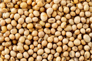 Soja non-OGM pour l'alimentation du bétail, alimentation animale à haute énergie, matière première de qualité alimentaire, emballage en vrac de 50 kg, vente en gros - Product Image 2