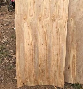 Engineered Wood Veneer- Rubber Wood <b>Face</b> Veneer- acacia wood veneer- good veneer for plywood - Product Image 5