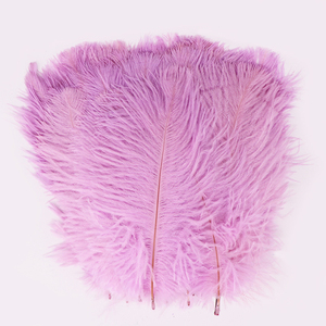 Plumes d'autruche fraîches en gros, qualité supérieure, pour acheteurs B2B et commandes d'exportation - Product Image 3