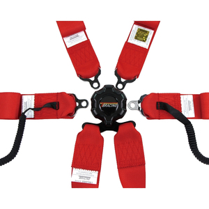 เข็มขัดนิรภัยสำหรับรถแข่ง TBRACING Sport Plus ได้รับการรับรองจาก FIA พร้อมหัวเข็มขัดล็อคแบบอลูมิเนียม ขายส่งแบบ OEM ODM - Product Image 6
