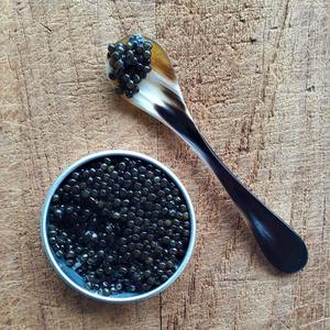 Cucharas de Cuerno de Búfalo Premium para Té, Café y Miel, Juego de Cucharas Artesanales Hechas a Mano - Product Image 5