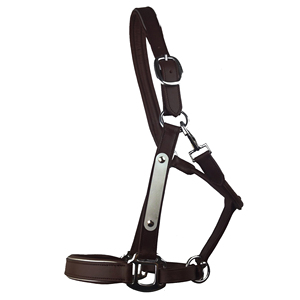Best Quality Indian Leather <b>Equipment</b> Anatomic Horse Halter Silver Fittings With Engraved Horse Nameplate for Horse Riding - Product Image 2