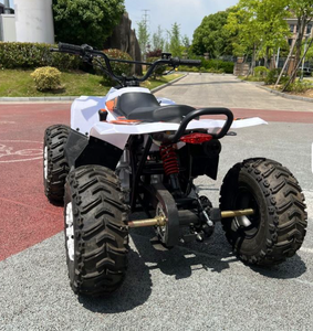 Kinder-Quad-Bike ATV für Geländefahrten mit CE-Zertifizierung - Product Image 4