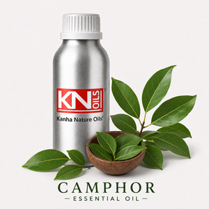 Kanha Nature <b>Oils</b> Pure Camphor <b>Essential</b> <b>Oil</b> (Cinnamomum Camphora) | Steam Distilled 100% Pure Cold Cough Acne Relief Body Care - Product Image 1