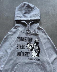 Sweat-shirt à capuche unisexe en molleton français Youngstown State University Class of 2010, gris, décontracté, en coton, avec poche avant - Product Image 4