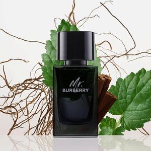 Mr. Mens EDP | Burberry - Product Image 3