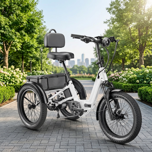 Tricycle électrique professionnel – Cadre en fibre de carbone, châssis en alliage d'aluminium, 12 vitesses - Product Image 2