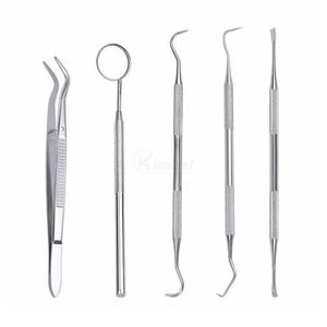 Kit de Diagnóstico Dental de 3 Piezas con Estuche Blando, Espejo, Sonda y Pinzas de Acero Inoxidable para Uso en Clínicas Portátiles, Servicio OEM - Product Image 6