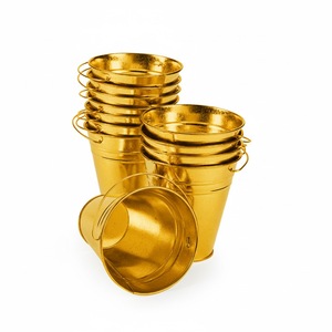 Seau en métal vintage, jardinières rustiques pour fleurs et plantes vertes, pots décoratifs d'extérieur durables, lot de six - Product Image 5