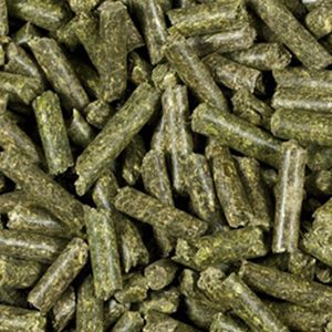 Granulés d'alfalfa 100 % naturels pour l'alimentation du bétail et des fermes laitières, avec granulés d'alfalfa de qualité supérieure pour l'exportation - Product Image 4