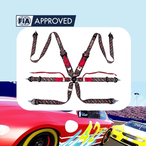 Harnais de course TBRACING SPORT PLUS 5 homologué FIA, ceinture de sécurité à 6 points, logo personnalisé, couleur OEM ODM pour les clubs de course - Product Image 1