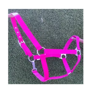 New Fashion Comfortable Adjustable Safety Soft Cute Pretty Horse Halter with custom made design