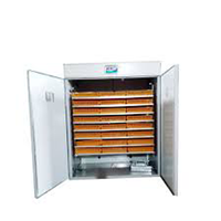Incubateur à œufs Yingbo IN2509 de type nouveau, écran LED, contrôle automatique de la température, acier inoxydable 304, 200 kg, 1 an de garantie