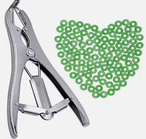 Pinzas de Castración de Acero Inoxidable 304 Reutilizables de Alta Calidad para Instrumentos Veterinarios, Novedad 2026 - Product Image 5