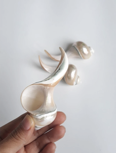 Reposapalillos Artesanal de Concha Natural de Vietnam, Material Costero Marino para Decoración de Mesa de Comedor Fino - Product Image 3