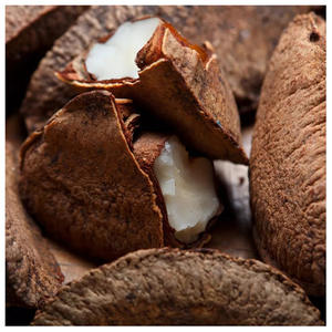 Nueces de Brasil al Precio Más Bajo Disponibles Aquí para la Venta - Product Image 4