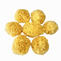 Poudre d'extrait de champignon Tremella 30% polysaccharides pour infusion