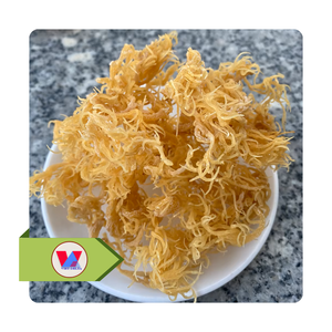 MORUE DE MER SÉCHÉE AU SOLEIL, MEILLEURE VENTE, Eucheuma Cottonii Jaune Doré, Source Naturelle d'Agar pour Cosmétiques et Desserts - Product Image 1